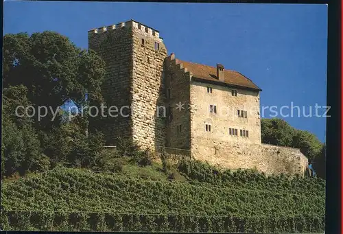 Brugg AG Schloss Restaurant Habsburg Kat. Brugg