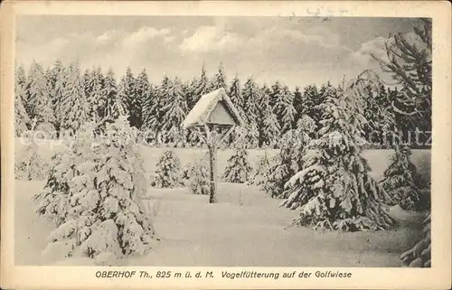 Oberhof Thueringen Vogelfuetterung auf der Golfwiese Winterpanorama Kat. Oberhof Thueringen