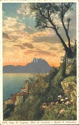 Gandria Lago di Lugano Olivi e Monte San Salvatore Luganersee Photo Aquarello Bender Kat. Gandria