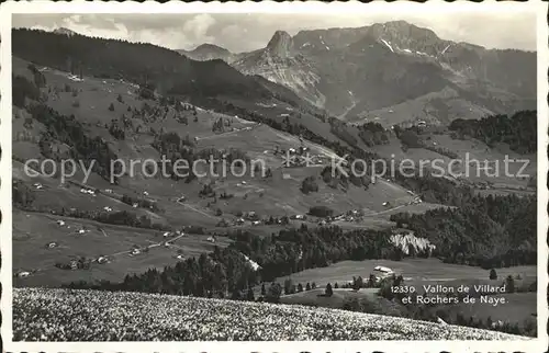 Rochers de Naye  Kat. Rochers de Naye