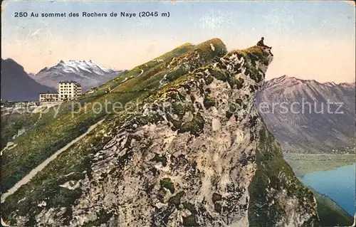 Rochers de Naye  Kat. Rochers de Naye