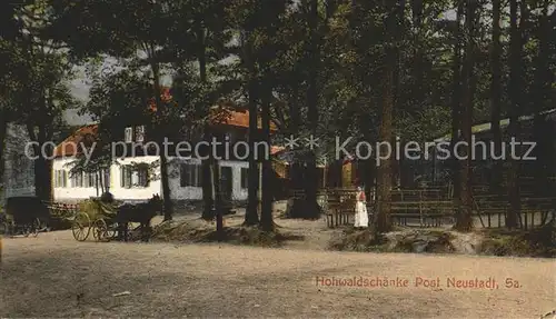 Neustadt Sachsen Hohwaldschaenke Pferdekutsche Kat. Neustadt Sachsen