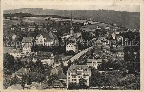 Sebnitz Stadtblick Kat. Sebnitz