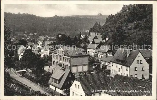 Krippen Bad Schandau Teilansicht Kat. Bad Schandau