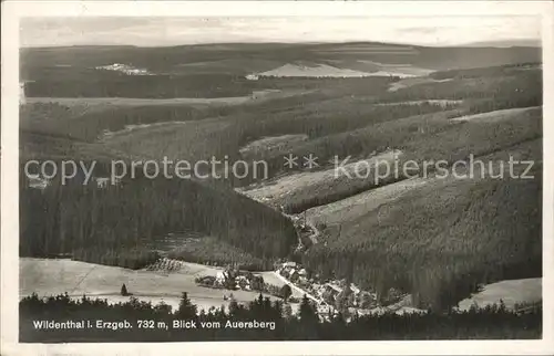 Wildenthal Eibenstock Blick vom Auersberg