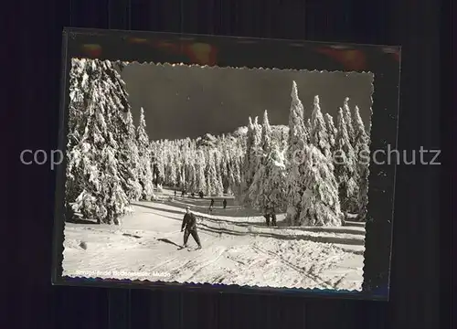 Viechtach Bayerischer Wald Winteridyll Skilanglaeufer Kat. Viechtach