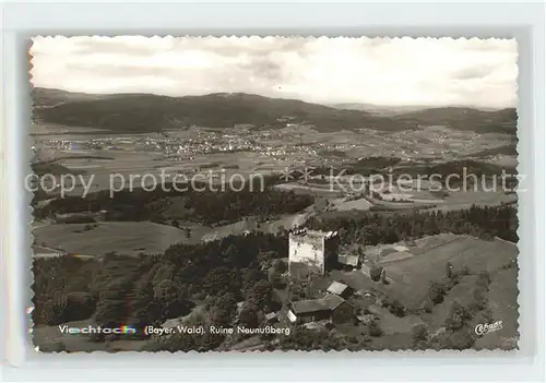 Viechtach Bayerischer Wald Ruine Neunussberg Fliegeraufnahme Kat. Viechtach