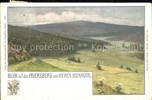 Auersberg Wildenthal Blick vom Kleinen Bockautal Kat. Eibenstock