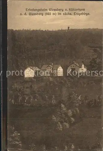 Schneeberg Erzgebirge Erholungsheim Gleesberg und Koehlerturm Kat. Schneeberg