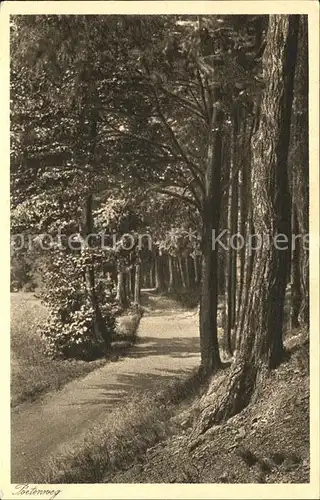 Oberschlema Erzgebirge Poetenweg Waldpartie Radiumbad Kat. Bad Schlema