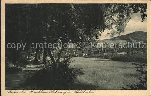 Oberschlema Erzgebirge Poetenweg im Silberbachtal Kat. Bad Schlema