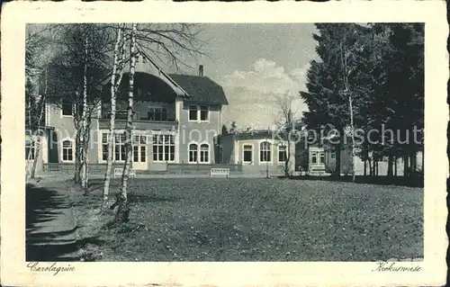 Carolagruen Krokuswiese Kat. Schoenheide Erzgebirge