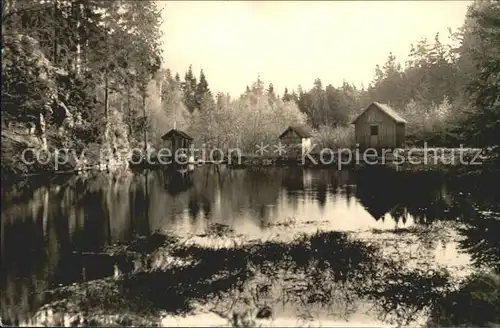 Olbernhau Erzgebirge Pulvermuehlenteich Kat. Olbernhau