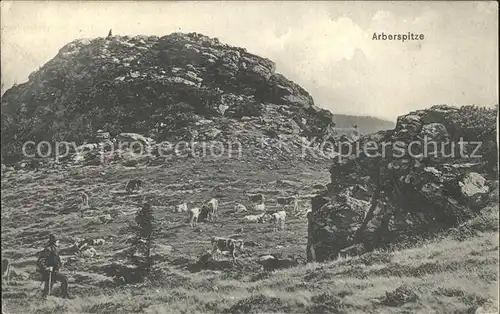 Bayrisch Eisenstein Arberspitze Kat. Bayerisch Eisenstein