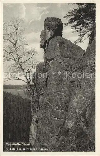 Pockau Vogeltoffelfelsen Kat. Pockau Floehatal