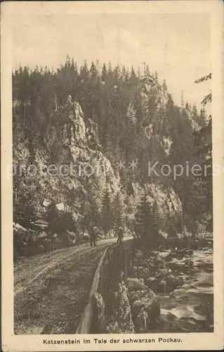 Pobershau Katzenstein im Tal der schwarzen Pockau Kat. Pobershau