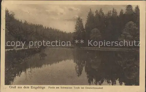 Deutschneudorf Partie am Schwarzen Teich Kat. Deutschneudorf