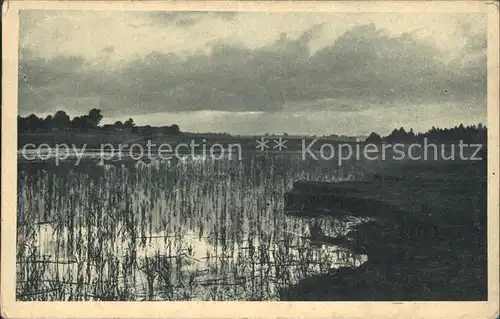 Amerika Sachsen Uferpartie an der Mulde Landschaft Kat. Rochlitz