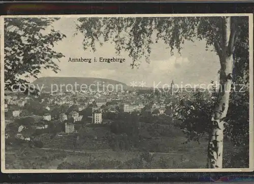 Annaberg Buchholz Erzgebirge Panorama Kat. Annaberg