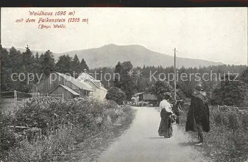 Waldhaus Regen Falkenstein Kat. Regen