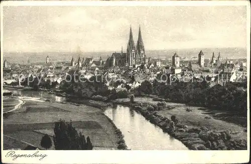 Regensburg Panorama mit Dom / Regensburg /Regensburg LKR