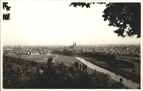 Regensburg Panorama mit Dom / Regensburg /Regensburg LKR