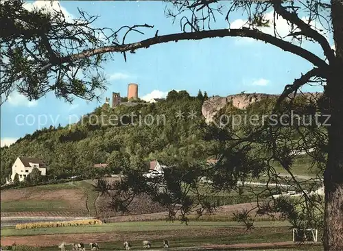 Neumarkt Oberpfalz Blick zur Burgruine Kat. Neumarkt i.d.OPf.