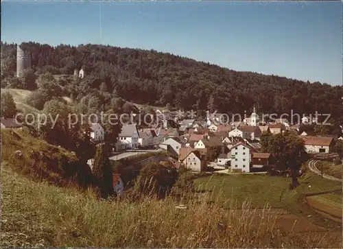 Altmannstein Ortsansicht mit Kirche Burgruine Kat. Altmannstein