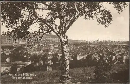 Annaberg Buchholz Erzgebirge Stadtansicht Kat. Annaberg