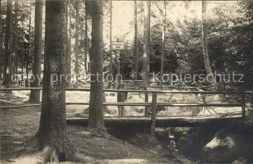 Jonsdorf Partie im Wald Kat. Kurort Jonsdorf