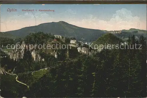 Oybin Panorama Hochwald Blick vom Ameisenberg Zittauer Gebirge Kat. Kurort Oybin