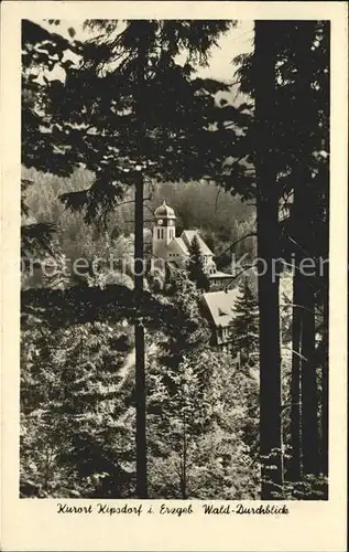 Kipsdorf Wald  Durchblick Kat. Altenberg