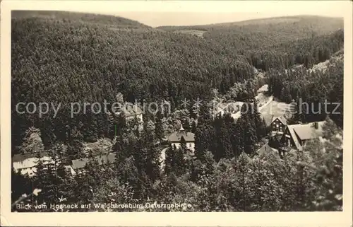 Kipsdorf Waldbaerenburg Kat. Altenberg