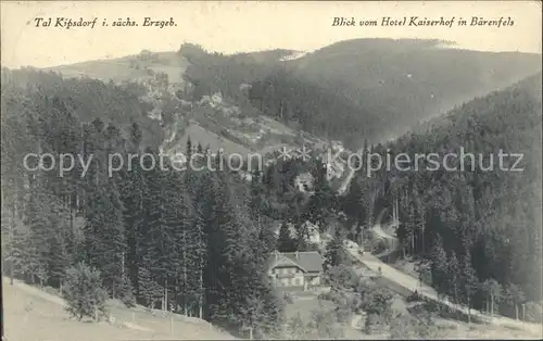 Baerenfels Erzgebirge Blick vom Hotel Kaiserhof in Baerenfels ins Tal Kipsdorf Kat. Altenberg