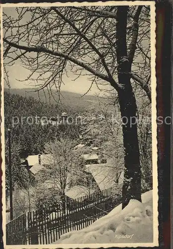 Kipsdorf Teilansicht Kat. Altenberg