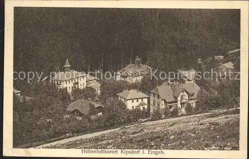 Kipsdorf Teilansicht Hoehenluftkurort Kat. Altenberg