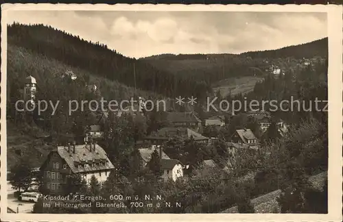 Kipsdorf Panorama mit Blick nach Baerenfels Kat. Altenberg