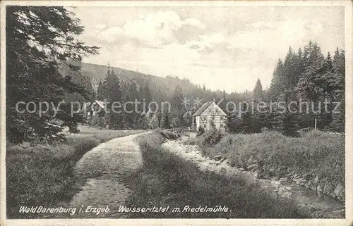 Waldbaerenburg Weisseritztal mit Riedelmuehle Kat. Altenberg