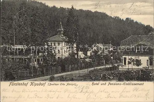 Kipsdorf Hotel Pension Etablissement Fuerstenhof Kat. Altenberg