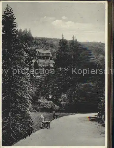 Waldbaerenburg Fremdenheim und Cafe Hocheck Kat. Altenberg