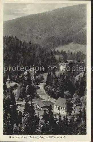 Waldbaerenburg Talblick Kat. Altenberg