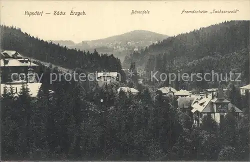 Kipsdorf mit Blick nach Baerenfels Fremdenheim Sachsenwald Kat. Altenberg