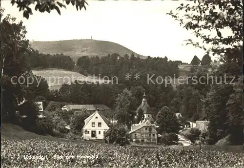 Lueckendorf Ortsansicht mit Kirche mit Blick zum Hochwald Kat. Kurort Oybin