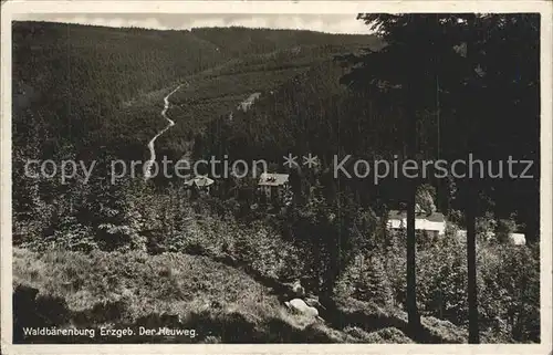 Waldbaerenburg Der Heuweg Kat. Altenberg