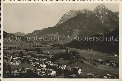 Chateau d Oex et le Rubli Montagne Kat. Chateau d Oex