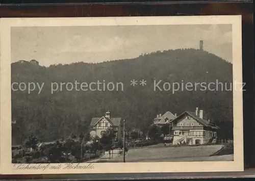 Lueckendorf Teilansicht mit Hochwald Aussichtsturm Zittauer Gebirge Kupfertiefdruck Kat. Kurort Oybin