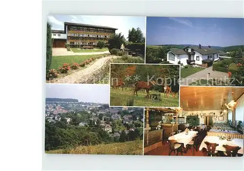 Luetzelbach Odenwald Pension Talblick Gastraum Panorama Wildgehege Kat. Luetzelbach