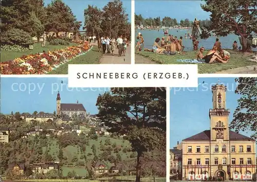 Schneeberg Erzgebirge Filzteich Kirche Rathaus Kat. Schneeberg