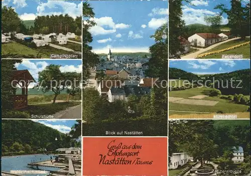 Nastaetten Taunus Feirendorf Muehlbachtal Mineralquelle Schutzhuette Campingplatz  Kat. Nastaetten