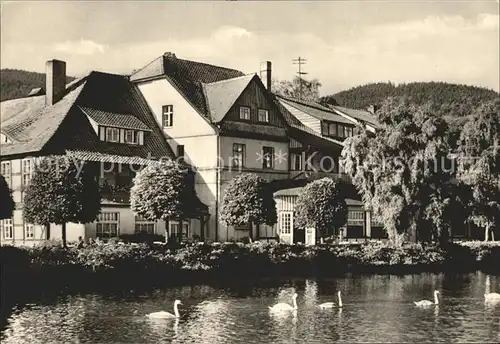 Ilsenburg Harz Am Forellenteich Kat. Ilsenburg Harz